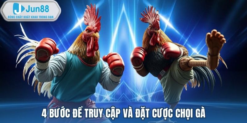 4 bước để truy cập và đặt cược chọi gà